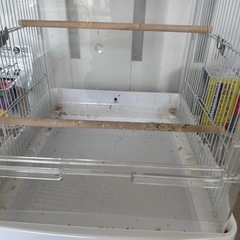 鳥かご　小鳥飼育セットの画像