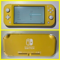 Nintendo Switch Lite Regular Edition Gray Console (JP