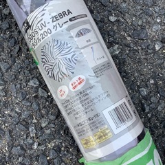 パラソル　の画像