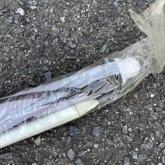 パラソル　の画像