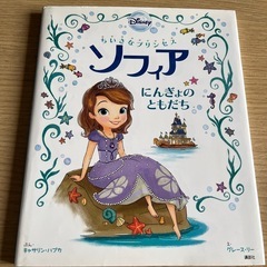 ディズニープリンセス本まてめての画像