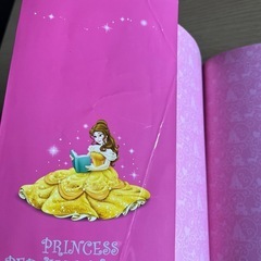 ディズニープリンセス本まてめての画像