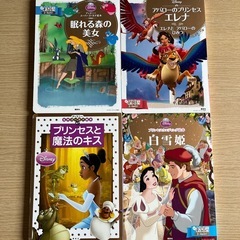ディズニープリンセス本まてめての画像