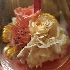 ブリザードフラワーの画像
