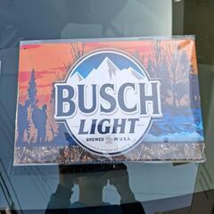 新品未使用/20㌢×30㌢ブリキ看板　BUSCH LIGHT の画像