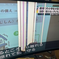 ゲーミングモニター　LG 34GK950F ジャンクの画像