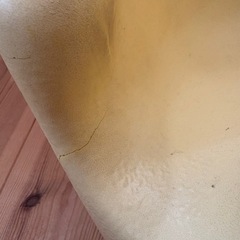 バンボ　黄色の画像