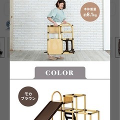 【お譲り先決まりました】ジャングルジム&滑り台の画像