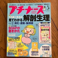 【決まりました】プチナースの画像