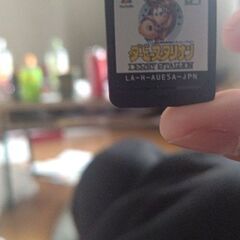ダビスタ箱無し