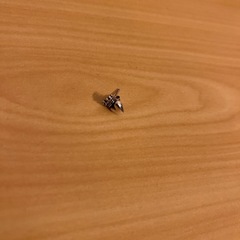 ピアス