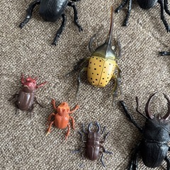 西松屋　昆虫王国　カブトムシ　クワガタムシ　おもちゃ　の画像