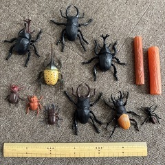西松屋　昆虫王国　カブトムシ　クワガタムシ　おもちゃ　の画像