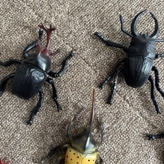 西松屋　昆虫王国　カブトムシ　クワガタムシ　おもちゃ　の画像