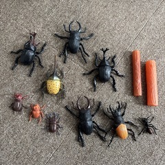 西松屋　昆虫王国　カブトムシ　クワガタムシ　おもちゃ　