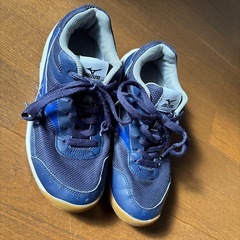 ミズノ　インドアシューズ　24センチ