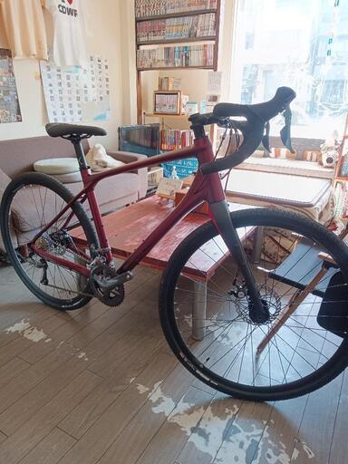 メリダ サイレックス100 50cm