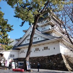 北九州にきて半年がたちました！　まだまだお友達募集中です！