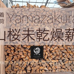 上質薪【未乾燥】山桜材カット済み数量限定『大地の薪』登録商標権取得記念セールの画像