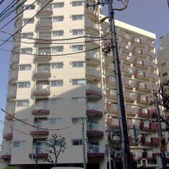 🏢山手線「池袋」駅歩５分　リフォーム済65.23㎡　東南角…