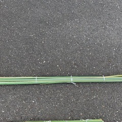 園芸用支柱　大量の画像