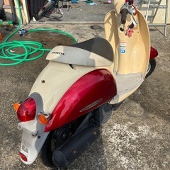 ホンダ　　af55スクーピーの画像