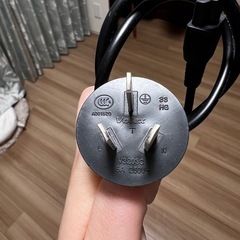 謎の電源ケーブル(volex)の画像