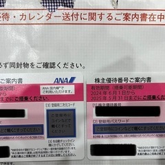 ANA 株主優待券2枚