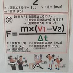 💪”トレーニング体験メンバー“大募集！💪の画像