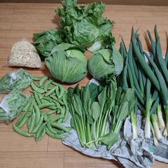 たっぷりお野菜７種類