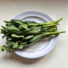 小松菜(トウ立ち)150g