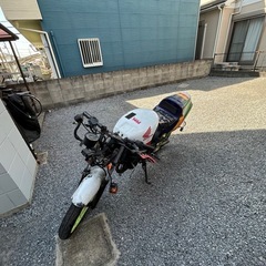 ns1の画像