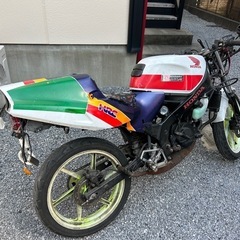 ns1の画像