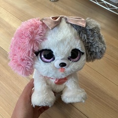 プレゼントペット　ピンキーリボンの画像