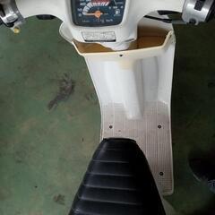タクトの画像
