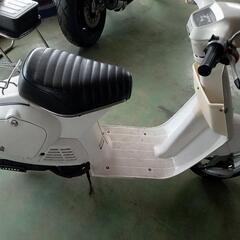 タクトの画像