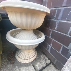 鉢
