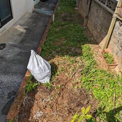 土貰ってくださいの画像