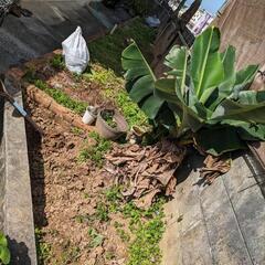 土貰ってください