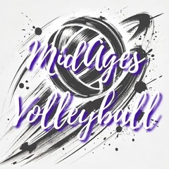 30-40代中心/6人制バレーボール