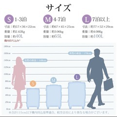 Lサイズスーツケースの画像