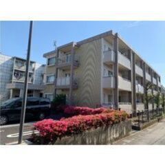 💙💜フリーレント1ヶ月付き💜💙ペット可🐱🐶バストイレ別🎶大和田駅徒歩15分🌟南向き🌞58㎡の3DKです😍💕 - さいたま市