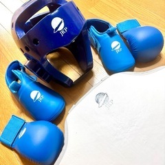 空手　防具　used品　Mサイズ　グローブのみSの画像