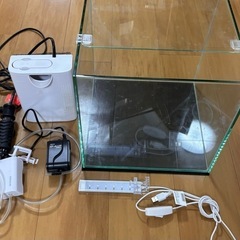 GEX テトラ 淡水魚 海水魚 飼育セット