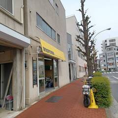 '25年1月オープンの🏍バイク🚲自転車修理店「ハセガワ輪業」です🔧 - 豊島区
