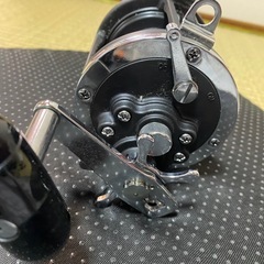 ダイワの画像