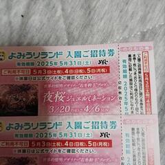 よみうりランド入場チケット２枚期限5月31日