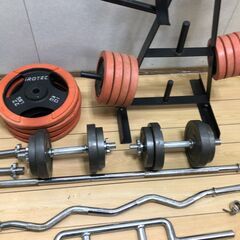 IROTEC　アイロテック 166kgセット 付属多数 【糸島市内 送料無料】75041-4-020の画像