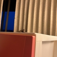 ピンクカラーボックスの画像