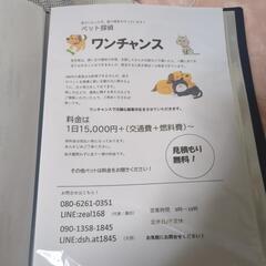 ペット探偵